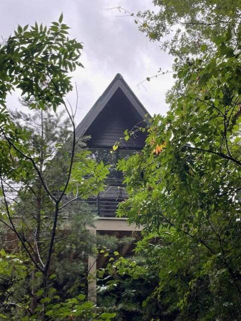 A Frame Of Mind Dahlonega Exterior foto