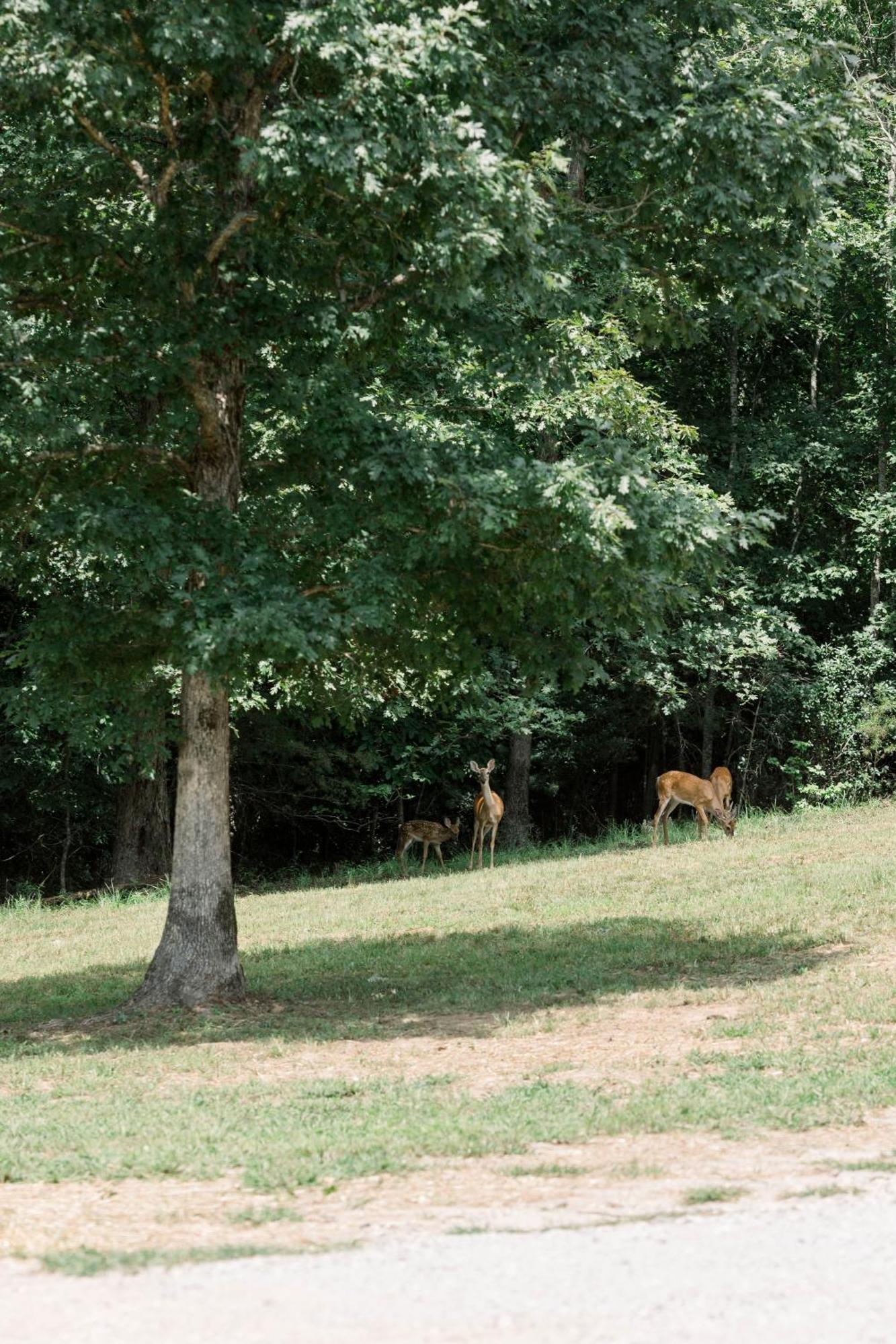 A Frame Of Mind Dahlonega Exterior foto